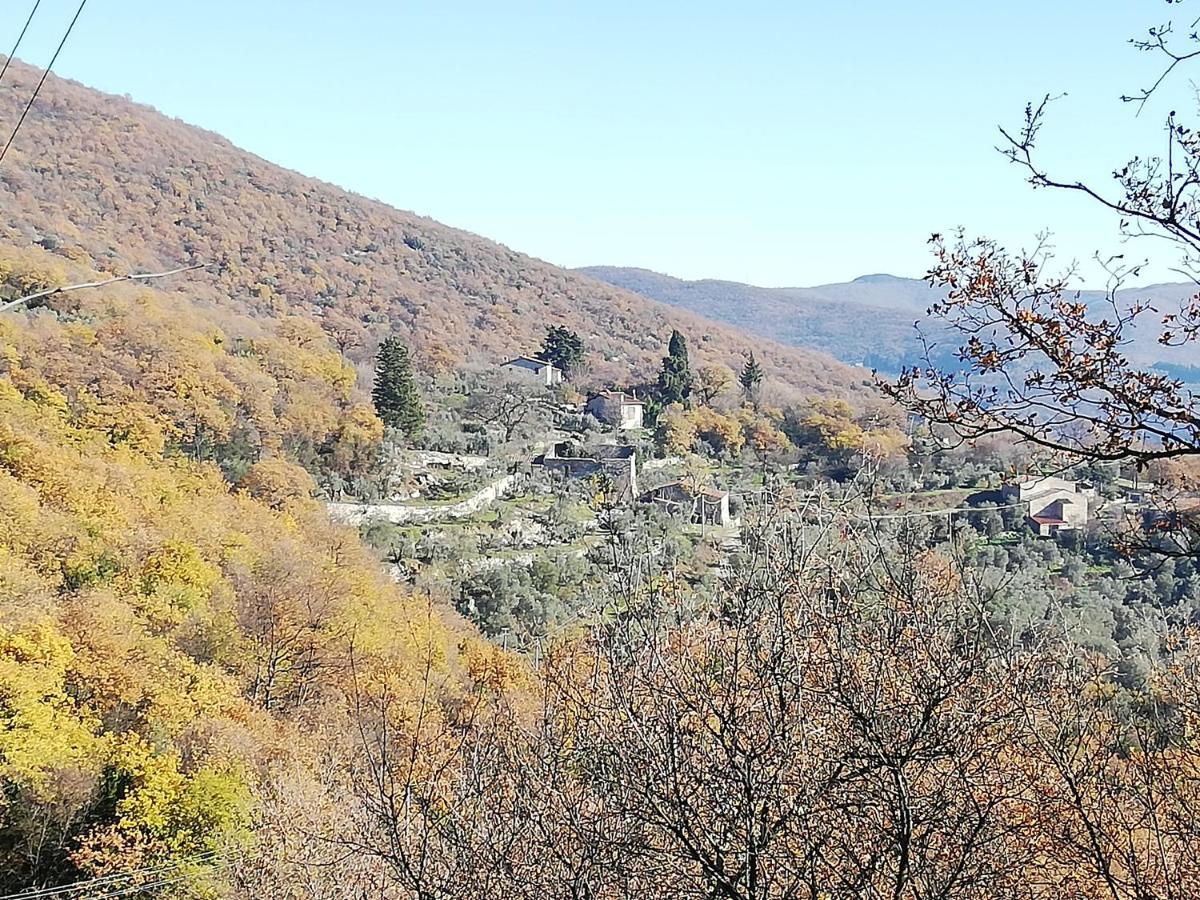Agriturismo Casamatta Azienda Agricola Calenzano Eksteriør bilde