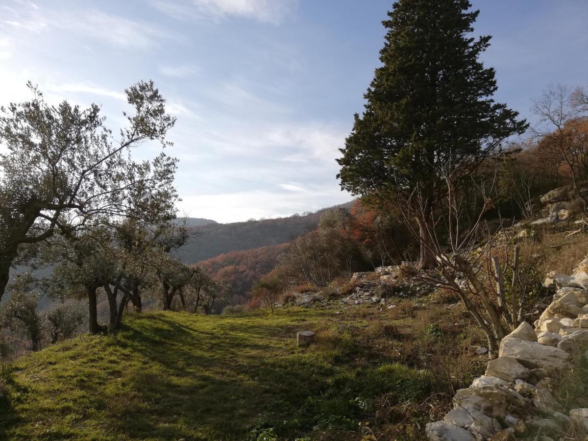 Agriturismo Casamatta Azienda Agricola Calenzano Eksteriør bilde