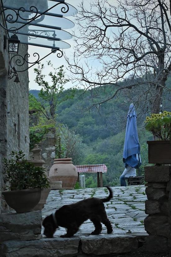 Agriturismo Casamatta Azienda Agricola Calenzano Eksteriør bilde